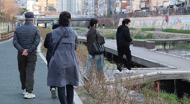 청둥오리 가족을 따라다니는 주민들.