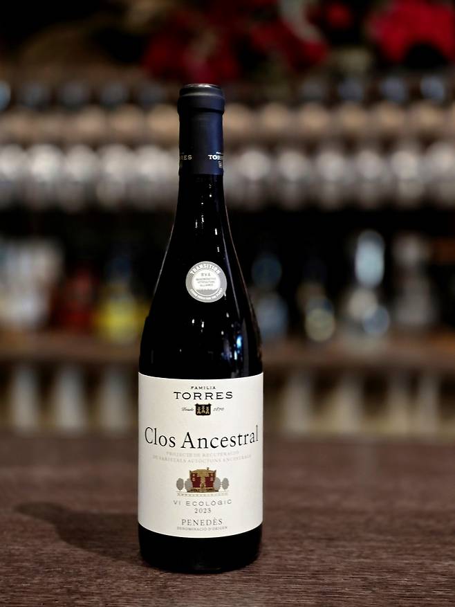 끌로 안세스트랄 레드. 최현태 기자