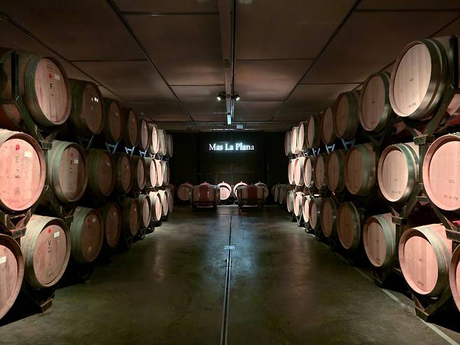 토레스 마스 라 플라나 셀러. 최현태 기자