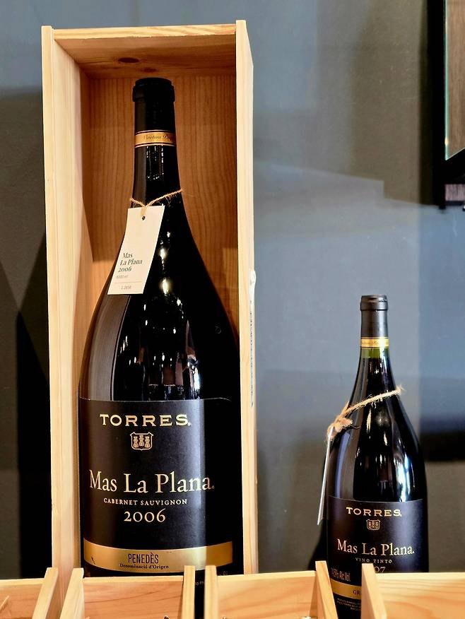 마스 라 플라나.&nbsp; 최현태 기자