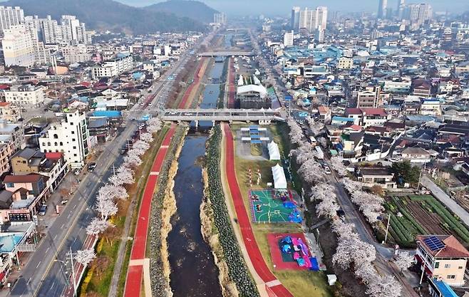 ‘2026 정읍 벚꽃축제’가 3일 개막해 5일까지 사흘 간 이어진 전북 정읍시 정읍천 일원이 화사한 벚꽃으로 물들여 있다. 정읍시 제공