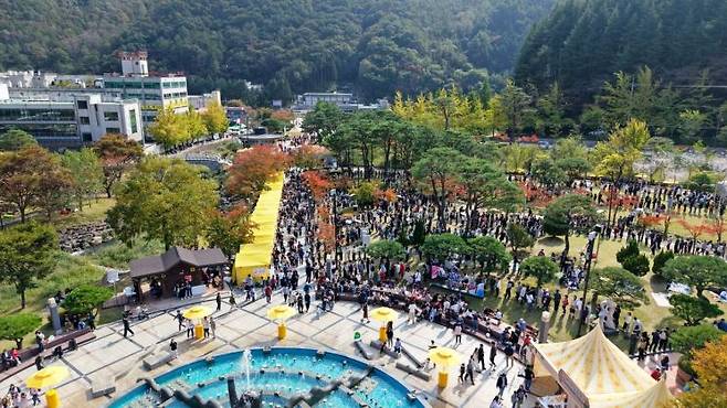 지난해 김천 김밥축제 현장.