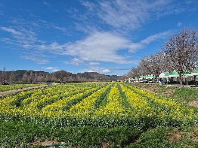 사진 창녕군 *재판매 및 DB 금지