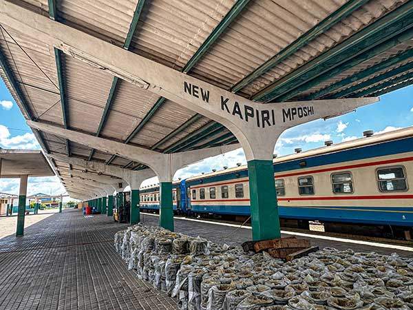 잠비아의 타자라 출발역, 뉴 카피리 음포시 역 플랫폼.