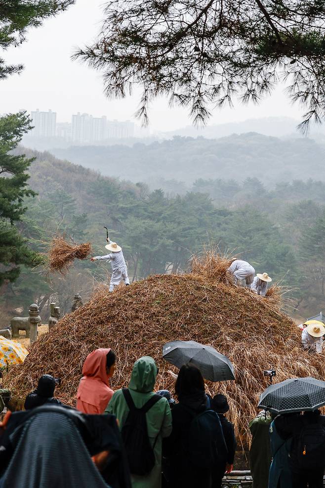 절기상 한식(寒食)인 6일 경기 구리시 동구릉 내 태조 이성계의 건원릉(健元陵)에서 시민들이 봉분을 덮고 있는 억새를 자르는 ‘청완 예초의(靑薍 刈草儀)’를 지켜보고 있다.
