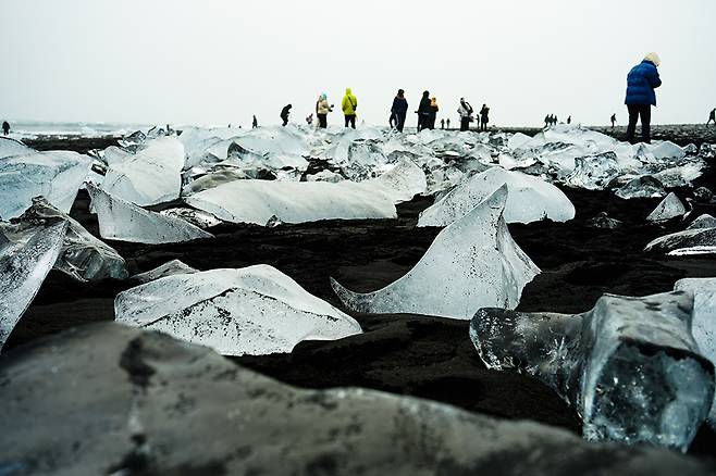 녹은 빙산 조각이 떠내려 오는 다이아몬드 해변