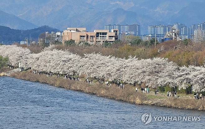 봄기운 가득한 춘천 [연합뉴스 자료사진]