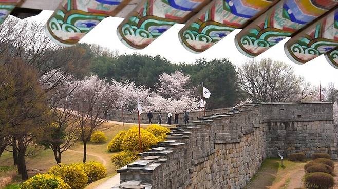 ▲&nbsp;수원화성 서북각루에서 서장대 방향으로 올라가는 길을 바라보는 모습. /사진제공=수원특례시