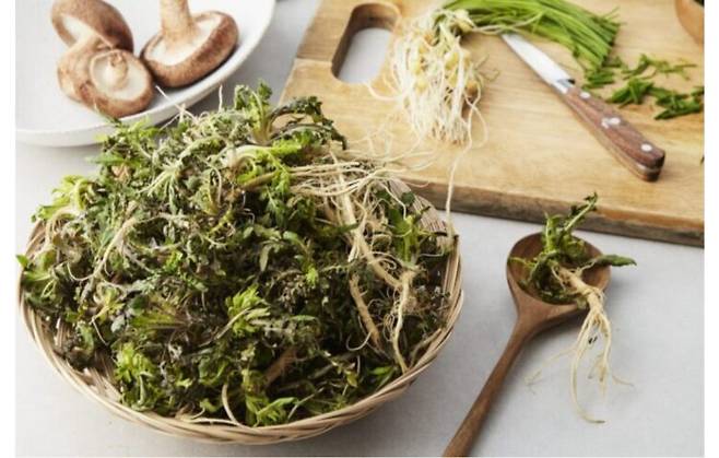 봄철 냉이와 달래는 모두 비타민과 미네랄이 풍부하지만 효능에 차이가 있다. 사진=클립아트코리아