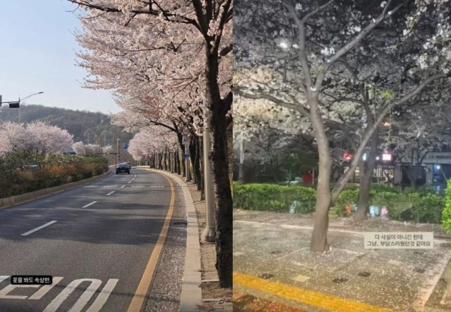 미스터킴, 28기 순자. 사진| 본인 SNS