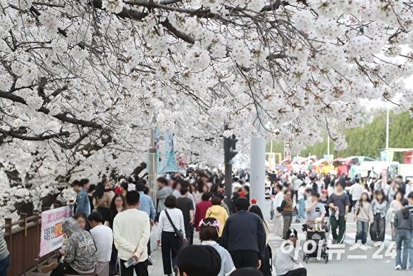 봄철 청주시 대표 축제인 청주예술제 기간, 벚꽃 등 새봄을 만끽하려는 상춘객들로 청주무심천 일대가 붐비고 있다. [사진=아이뉴스24 DB]
