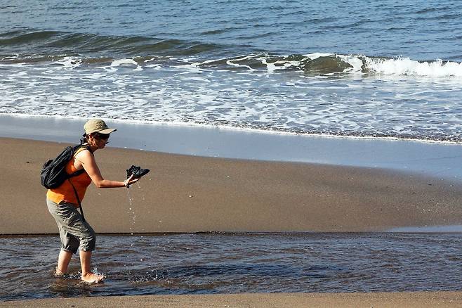 제주올레 9코스를 걷고 있는 서명숙 제주올레 이사장. 손민호 기자