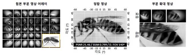 마이크로렌즈 배열로 촬영된 부분 영상들을 결합해 하나의 장면으로 재구성한 결과. 서로 다른 시야 방향에서 얻어진 이미지들이 정합 과정을 거쳐 하나의 광시야 영상으로 통합되며, 평균 약 1.1픽셀 수준의 정합 오차로 정확한 장면 복원이 가능함을 보였다. KAIST