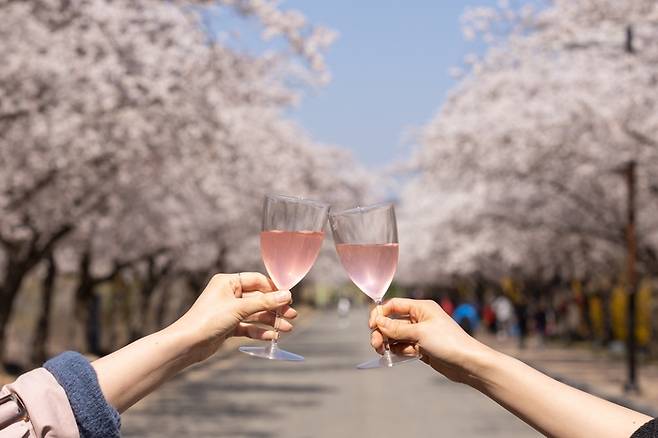 켄싱턴호텔 여의도  호텔 앞 벚꽃길에서 즐기는 봄 나들이/사진=이랜드파크