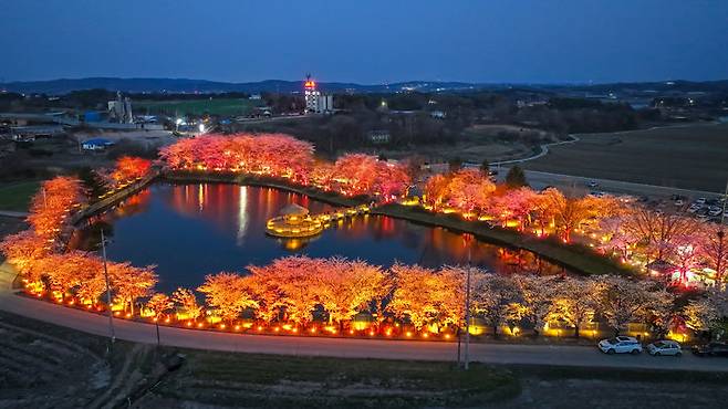 [당진=뉴시스] 충남 당진 면천면 골정지 화려한 야경. (사진=당진시 제공) 2026.04.07. photo@newsis.com *재판매 및 DB 금지