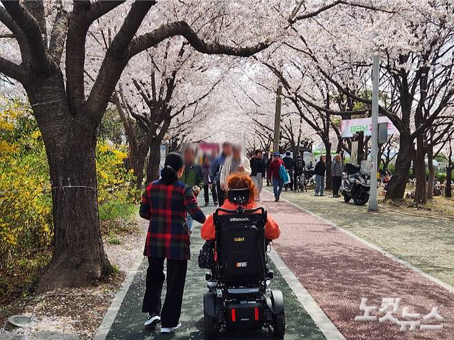부산 사상구 낙동제방벚꽃길에서 전동휠체어를 이용하는 시민이 산책하고 있다. 정혜린 기자