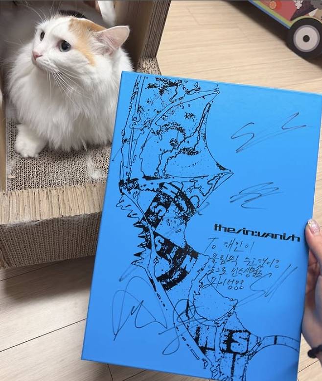 ▲ 출처| 이해인 SNS