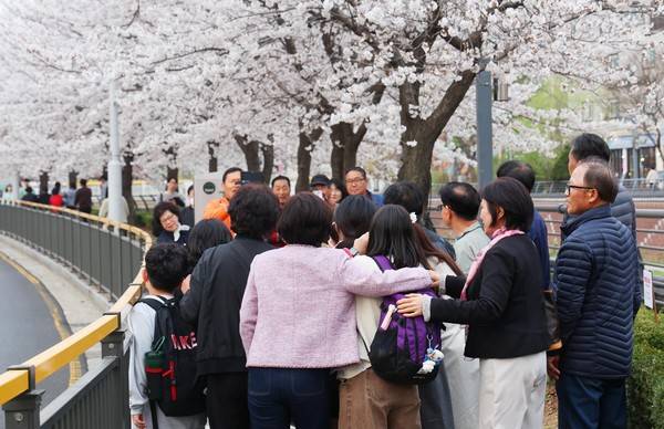 안성 금석천 '금석첨화' 포토존에는 가족과 연인들이 봄을 품으며 사진 찍기에 여념이 없다.[사진출처 = 안성시]