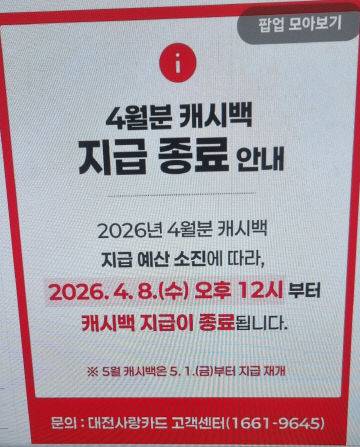 '대전사랑카드' 캐시백 지급 제한 안내문. 홈페이지 캡처