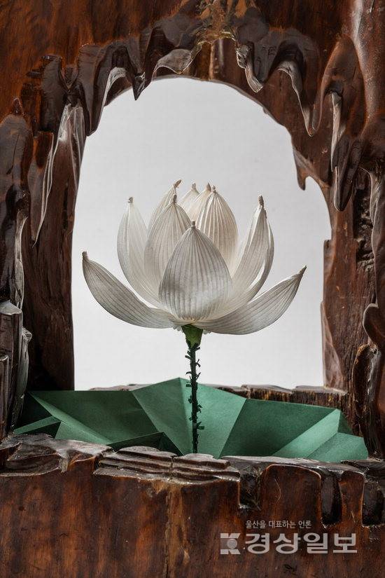 ▲ '연꽃2'