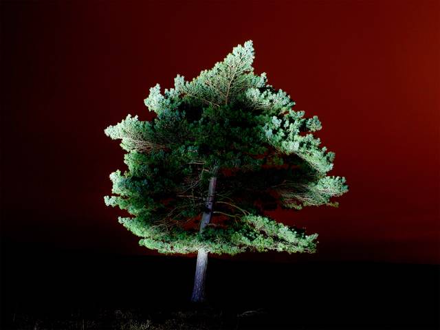 김신욱 작, 'Lyndhurst', Archival Pigment Print, 100x150cm, 2012. 갤러리청담 제공