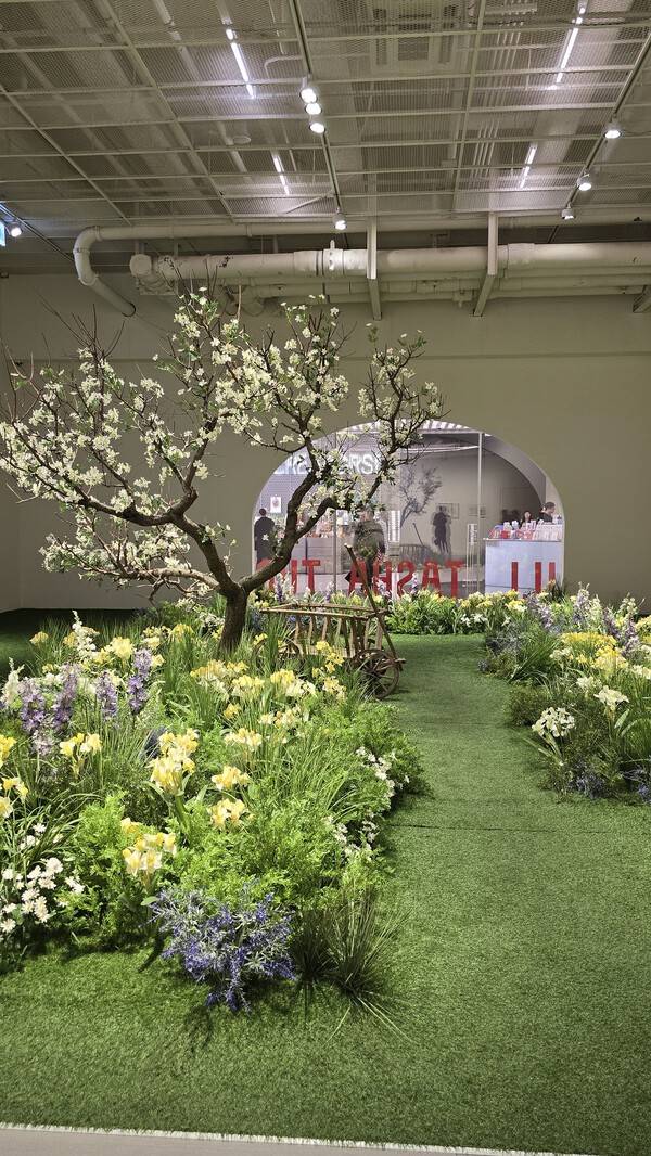 사진= 김호이 기자