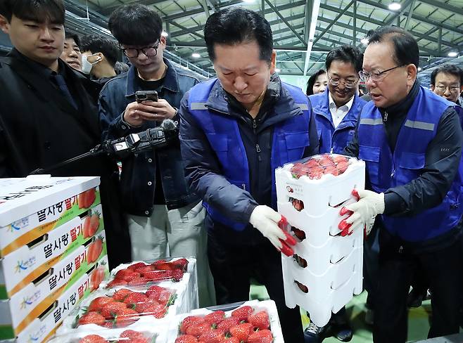 8일 오전 대구 북구 대구농수산물도매시장에서 민생 현장 체험에 나선 정청래 더불어민주당 대표와 대구시장 선거에 출마한 김부겸 전 총리가 경매에서 낙찰된 딸기를 수레에 싣고 있다./뉴스1