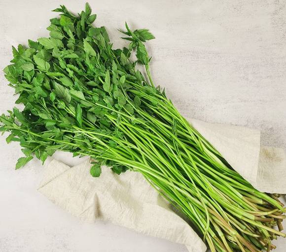 미나리. [사진=팔도감]