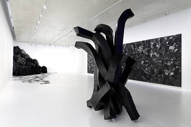 작가는 청조갤러리 2관을 검정색의 공간이지만 '숯의 방'으로 표현하고 싶다고 전했다. ⓒ Museum SAN, Photo by Sangtae Kim