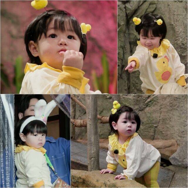 / KBS 2TV '슈퍼맨이 돌아왔다'