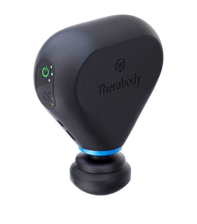 테라건 미니 플러스(테라바디 제공)