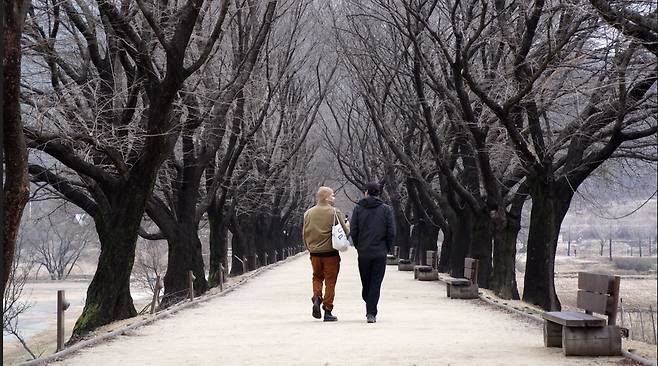 하회마을 낙동강변길 걷는 르글리즈와 블랑댕 (안동=연합뉴스) 이세영 기자 = 일과를 마친 르글리즈(왼쪽)와 블랑댕이 락고재 작업실에서 숙소로 걸어가고 있다. 낙동강변을 따라 이어진 길은 두 작가의 일상이자 사유의 공간이었다. 2026.3.31 seva@yna.co.kr