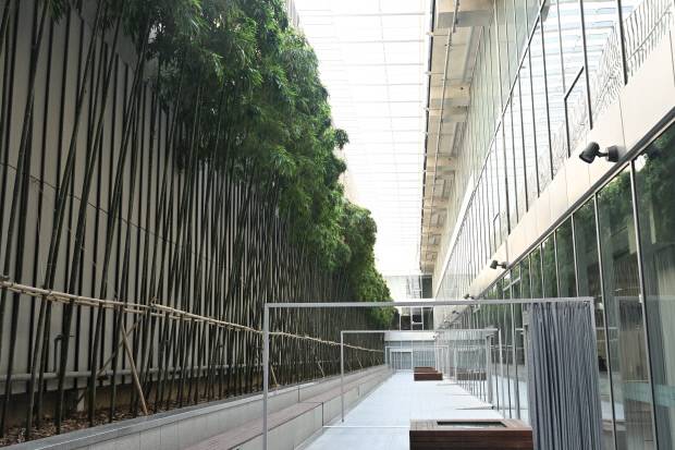 ACC 대나무정원. 방문객들이 자연 속에서 휴식을 취하는 공간이다. /최현배 기자 choi@kwangju.co.kr