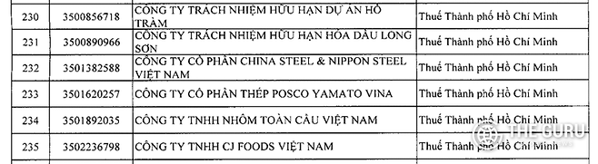 포스코의 베트남 합작법인
