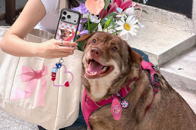 (사진=케이스티파이)