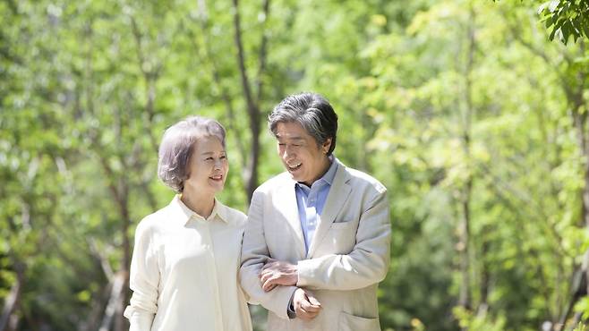 비타민 D 수치가 높을수록 뇌에 치매 유발 단백질이 덜 쌓인다는 연구 결과가 나왔다 | 출처: 클립아트코리아