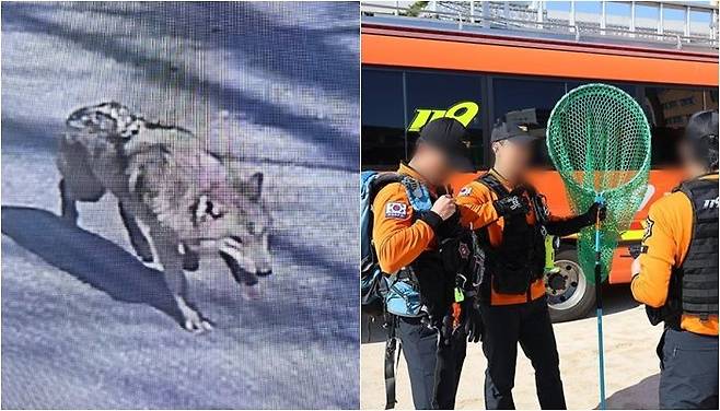 /사진=연합뉴스