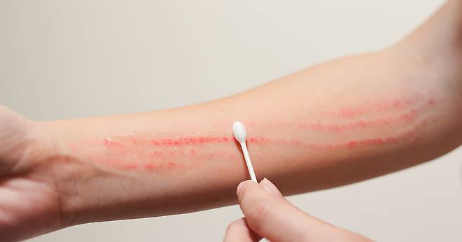 사진=클립아트코리아