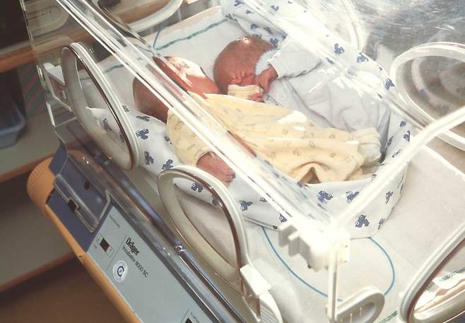 기사의 내용과 직접적인 관련이 없는 이미지./사진=클립아트코리아