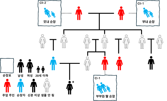 근친혼이 포함된 가계도 일부 [사진=경산시]