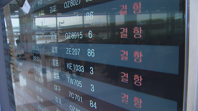 제주공항 항공편 결항 자료사진