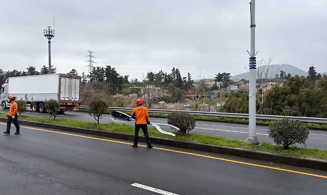 오늘(9일) 오후 제주시 아라동 파손 가로등 안전조치 현장 (제주소방안전본부 제공)