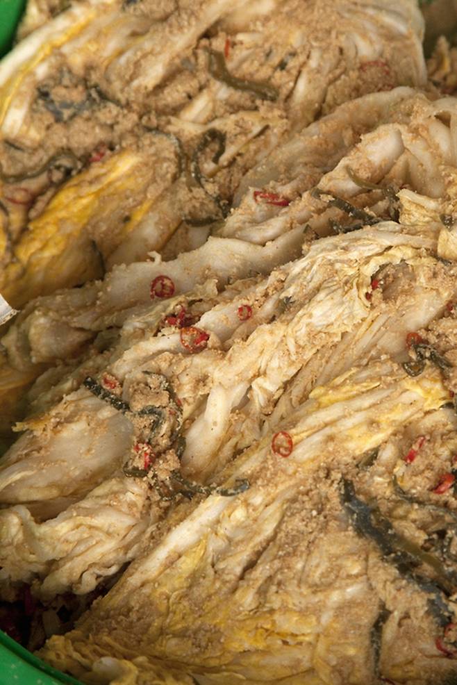 김치 표면의 흰 막은 골마지일 수 있지만, 색이 변하거나 냄새가 달라졌다면 이미 변질이 진행된 신호다. 게티이미지