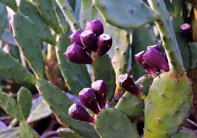해당 기사와 무관. 클립아트코리아