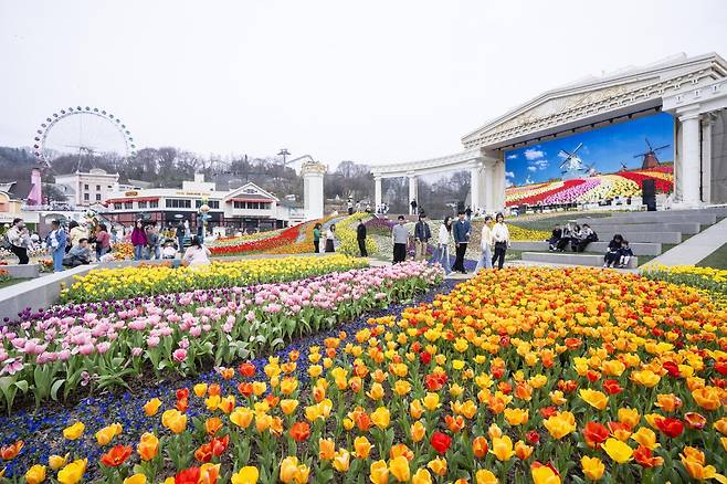 튤립축제가 절정을 이루고 있는 에버랜드 포시즌스 가든. 올해는 꽃으로만 제대로 승부하겠다는 의지가 엿보인다.   사진제공 ｜에버랜드