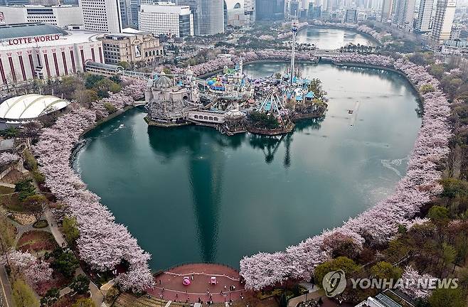 석촌호수 벚꽃 만개 (서울=연합뉴스) 김성민 기자 = 2026 호수벚꽃축제가 열린 5일 서울 송파구 석촌호수 일대에 벚꽃들이 피어 있다. 2026.4.5 ksm7976@yna.co.kr