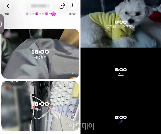 (출처=독자 제공)