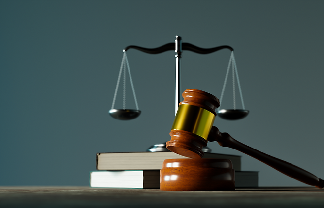 그래픽=이찬희 기자.