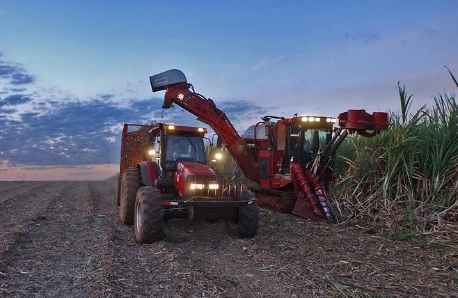 비료값이 급등하는 가운데 봄 파종 시즌이 겹쳤고, 라니냐·엘니뇨 등 기상이변까지 전망되면서 식량가격 상승 우려가 커지고 있다. (사진 FAO/Giuseppe Bizzarri)