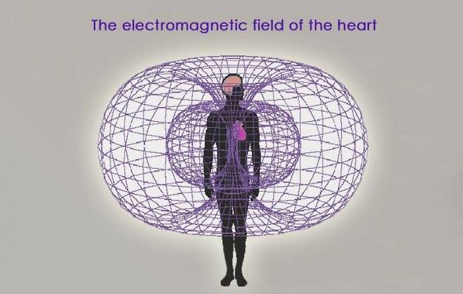 심장이 뛸 때 발생하는 자기장을 시각화한 이미지. 심장 신호는 가슴 표면에서도 지구 자기장의 약 200만분의 1에 불과할 만큼 극히 미약하다. 위키미디어 제공